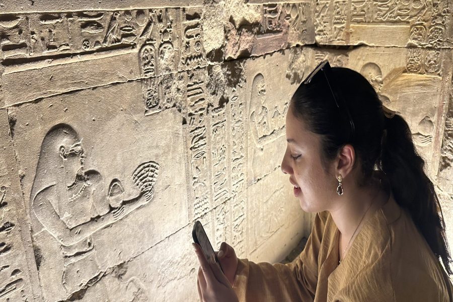 Day Tour to Edfu Temple from Luxor