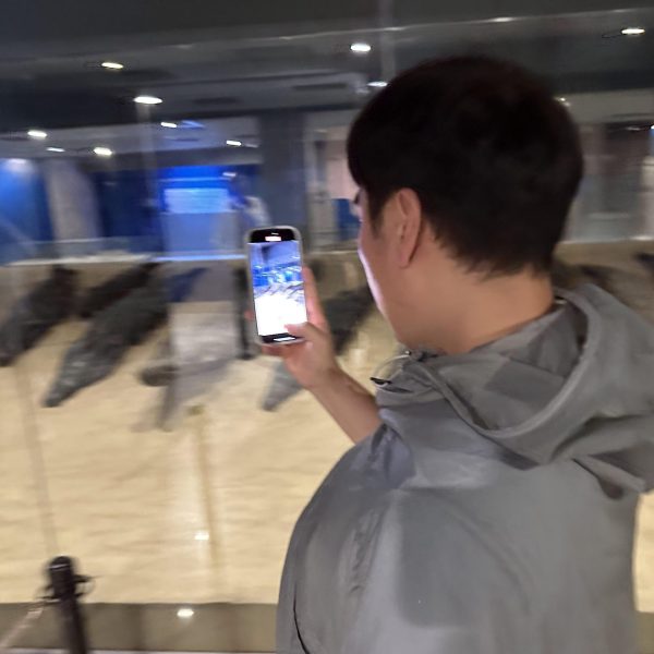 2024_09_25_01_00_IMG_9431