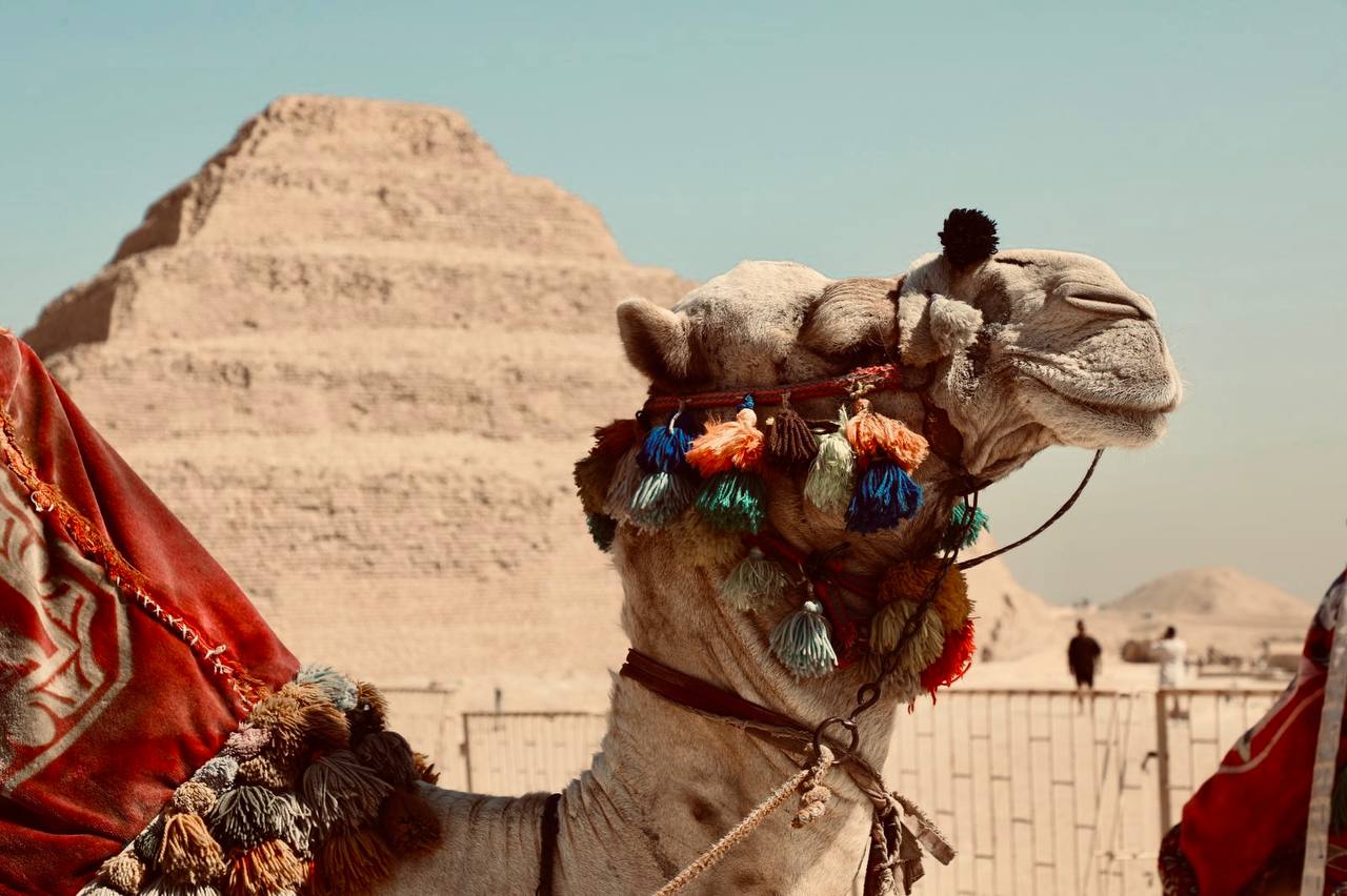 Saqqara and Dahshur Day Tour