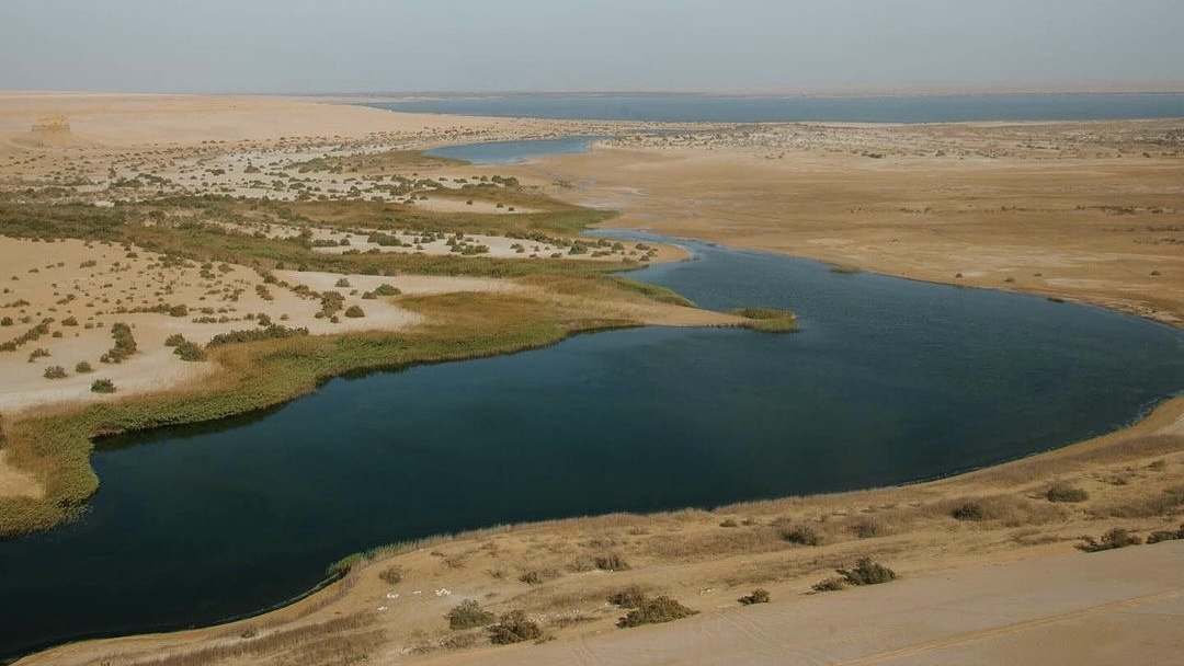 Fayoum Day Tour from Cairo