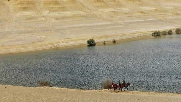 Fayoum Day Tour from Cairo