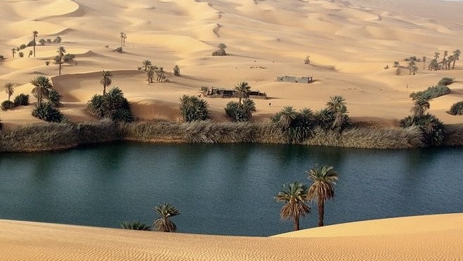 Fayoum Day Tour from Cairo