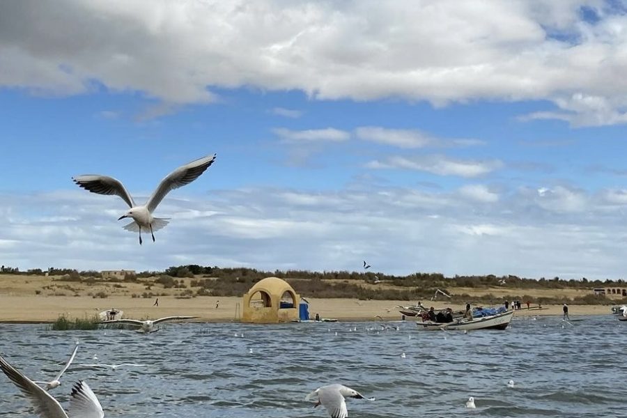 Fayoum Day Tour from Cairo