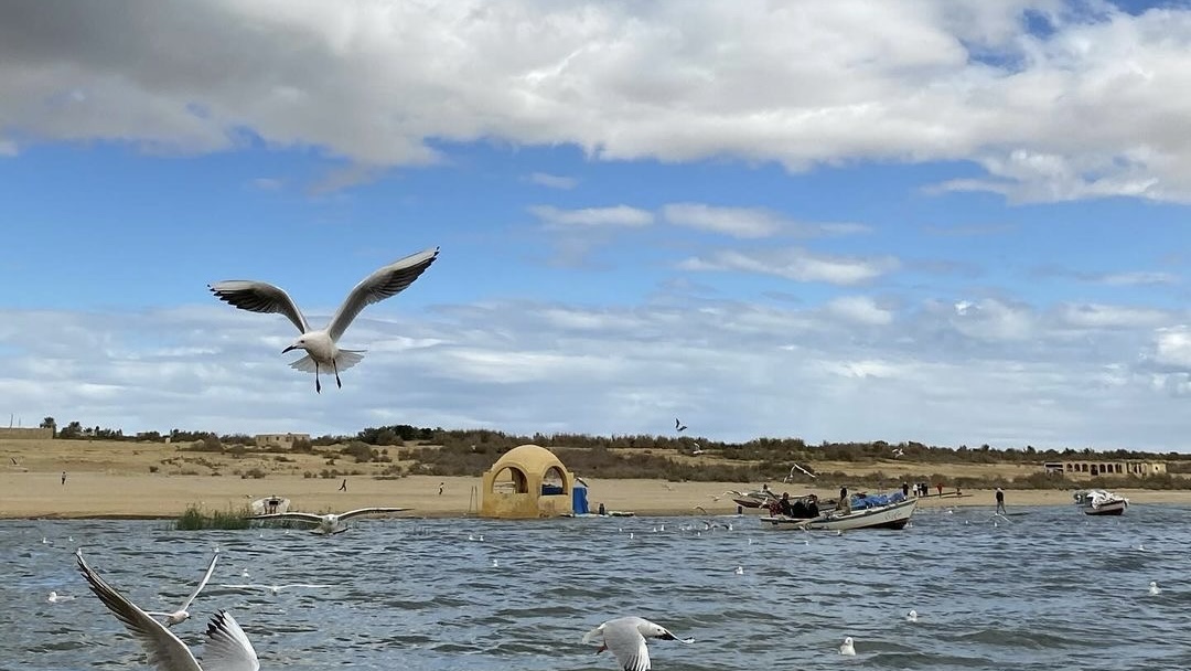 Fayoum Day Tour from Cairo