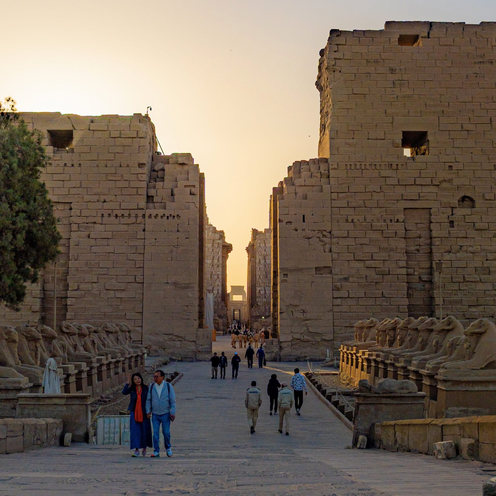 East Bank of Luxor Day Tour – Karnak & Luxor Temples