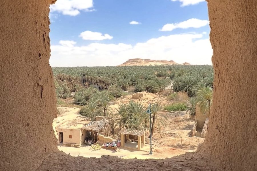 6 Days Cairo & Siwa Oasis Tour Package