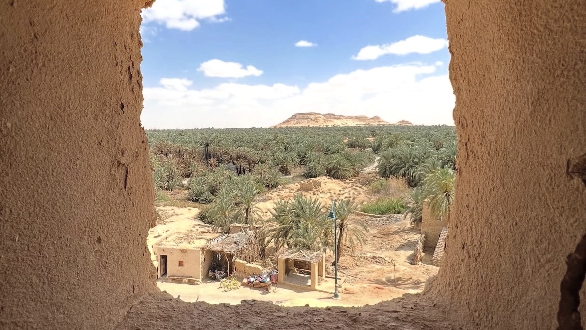 6 Days Cairo & Siwa Oasis Tour Package